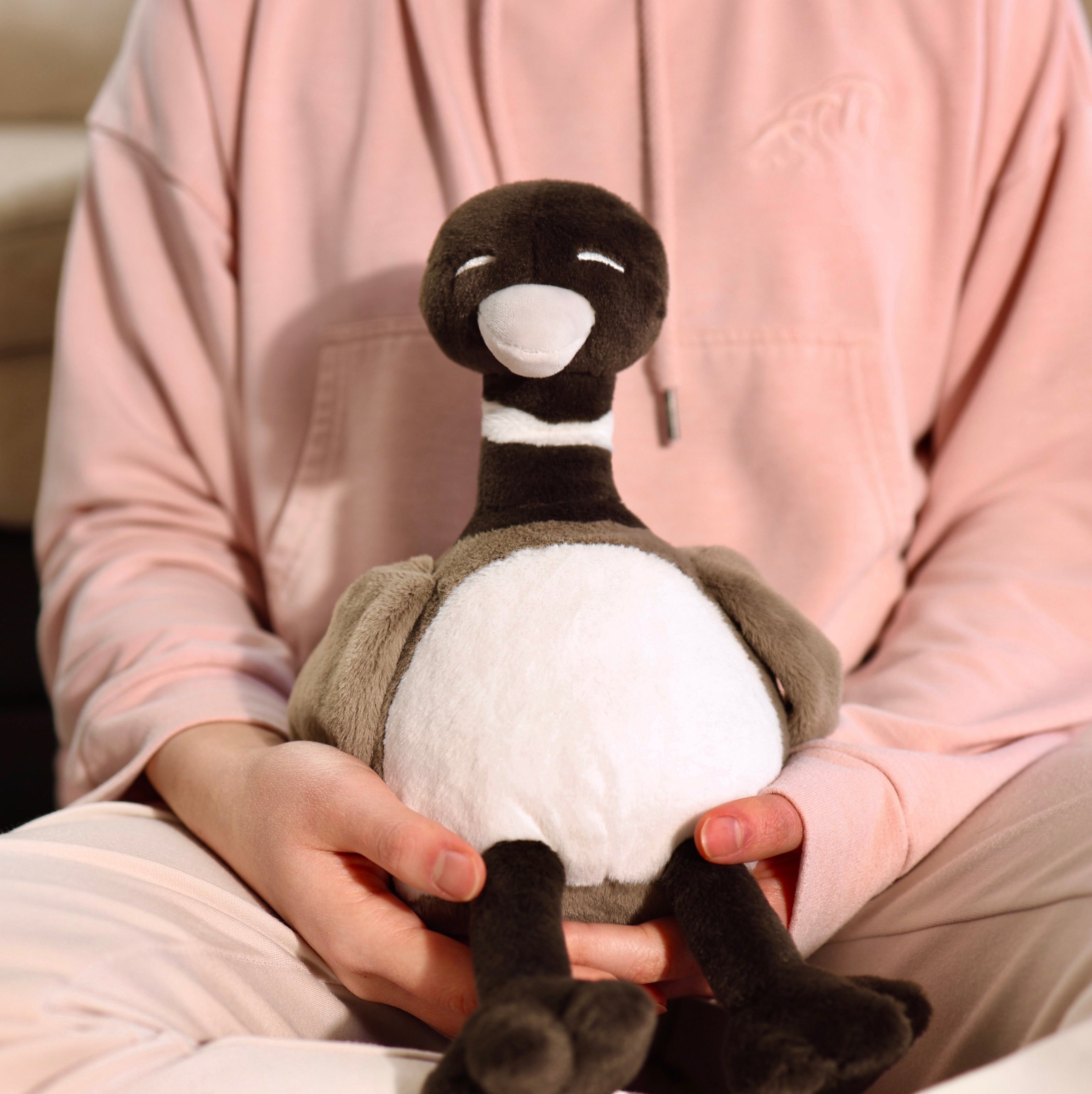 Canada Goose Plush, Canada Goose Stuffie, Stuffed Canada Goose, Cute Canada Goose, Canada Goose Plushie, Goose Plushie, Cute Goose, Canada Goose Toy, Goose Toy, Cute Canada Goose